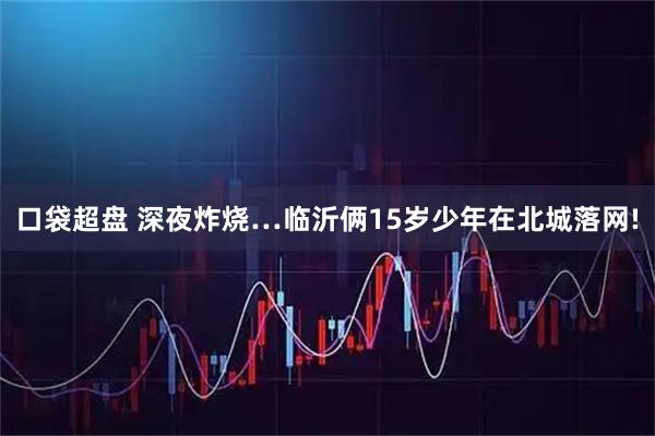 口袋超盘 深夜炸烧…临沂俩15岁少年在北城落网!