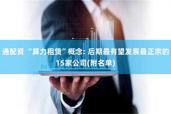 通配资 “算力租赁”概念: 后期最有望发展最正宗的15家公司(附名单)