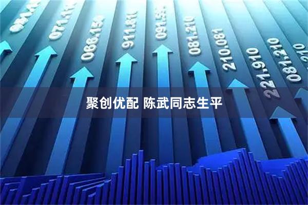 聚创优配 陈武同志生平